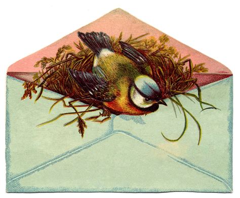 Vintage Clip Art Sweet Bird With Nest In Envelope The Graphics Fairy
