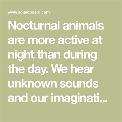 Nocturnal Animals Are More Active At Night Than During The Day We Hear