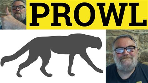 🔵 Prowl On The Prowl Meaning Prowl Examples Prowler Definition
