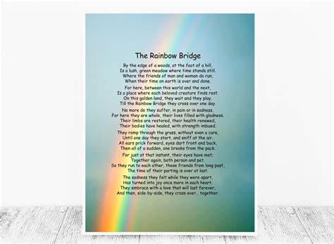 There are meadows and hills for all of our special friends so they can run and play together. The Rainbow Bridge Poem Rainbow Bridge Rainbow Bridge Poem