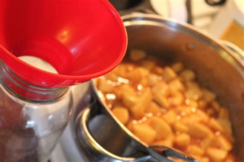 Apply band until fit is fingertip tight. Homemade Apple Pie Filling Recipe - For Canning | Apple ...