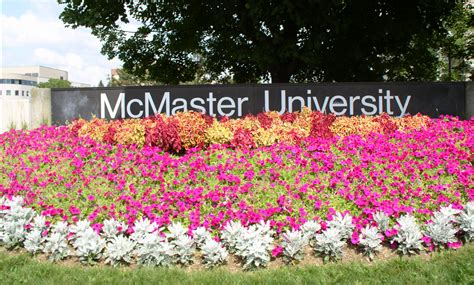 The shanghai jiao tong academic ranking of world universities (arwu) ranks the world's top colleges and universities. McMaster rankings remain strong | The Silhouette