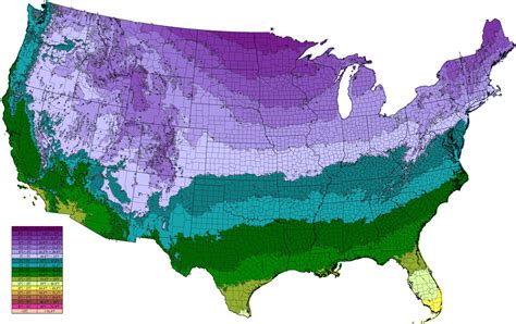 Map Us Average Low Temperature Map