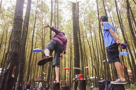 Dikaki gunung semeru, patok picis wajak malang was merged with this page. 4 Wisata Hutan Pinus di Jawa Timur yang Keren Abis Buat Foto-foto