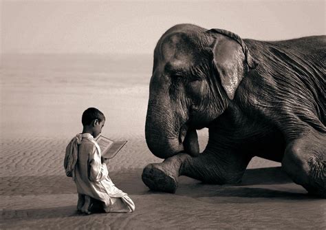 Ashes And Snow Gregory Colbert