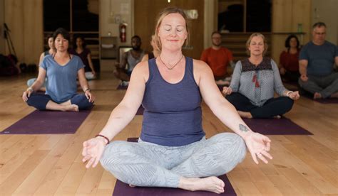 yoga therapy applied in medical settings 800 hour professional yoga therapist program kripalu