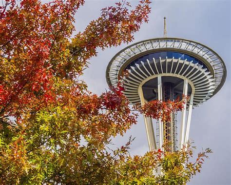 Autumn In Seattle By Kyle Wasielewski Cityscape Fall