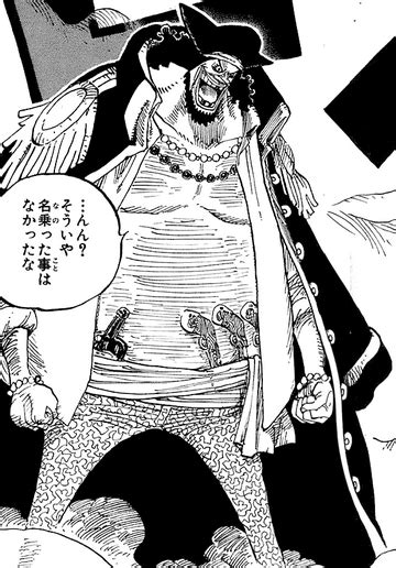 blackbeard one piece manga