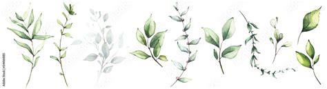 Watercolor Floral Greenery Set Of Green Leaves Branches Twigs Etc