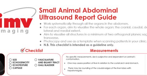 Abdominal Ultrasound Report Guide Imv Imaging