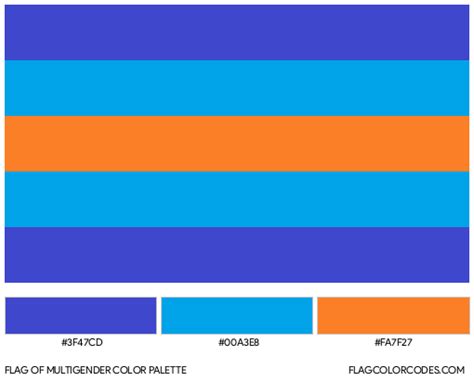 Omnisexual Flag Color Codes