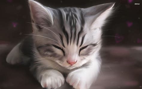 Download 444 Kitty Cute Background Full Hd Chất Lượng Cao đẹp Nhất