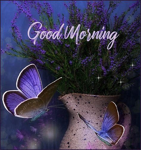 Purple Butterflies Good Morning Pictures Photos And Images For