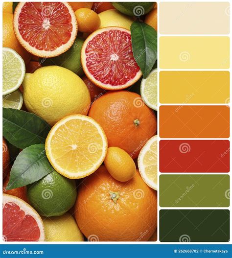 Different Ripe Citrus Fruits And Color Palette Collage Stock Photo