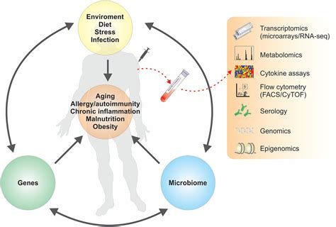 systems vaccinology probing humanity s diverse immune systems with vaccines pnas
