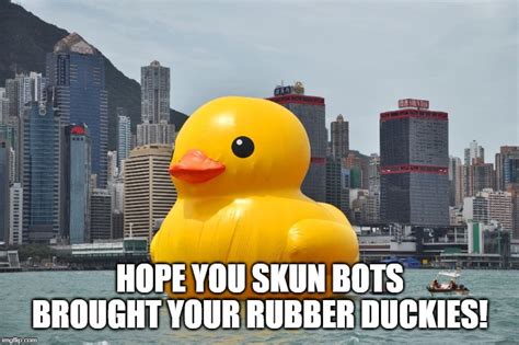 rubber ducky you re the one memes imgflip