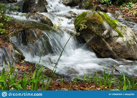 Peaceful Forest Landscape With Small Cascade Falls Over Mossy Rocks