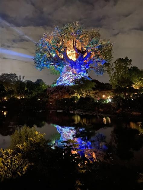 Tree Of Life Awakening In Disneys Animal Kingdom Rdisneyphotography