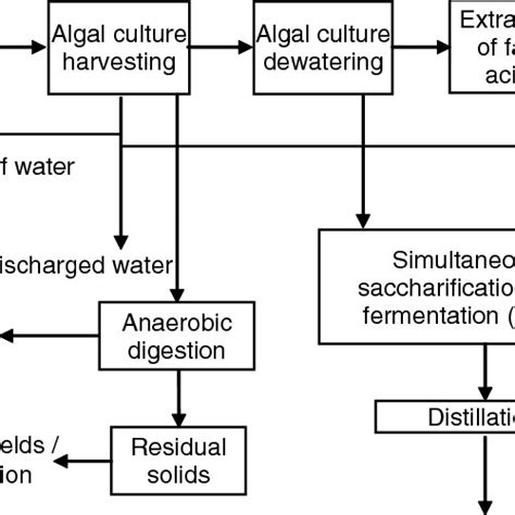 Life Cycle Stages Of Biofuels Production From Algal Biomass Download