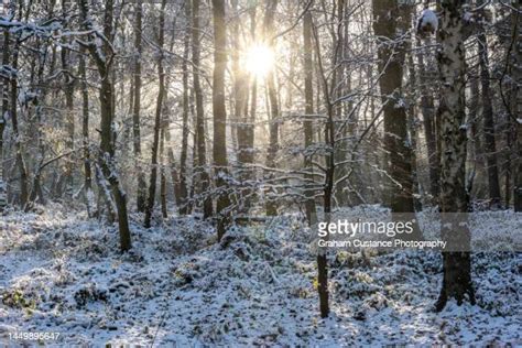 Chilterns Winter Photos And Premium High Res Pictures Getty Images
