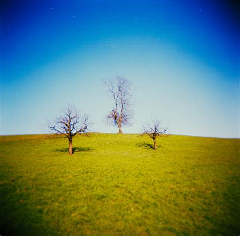 Three Trees Explored A Photo On Flickriver