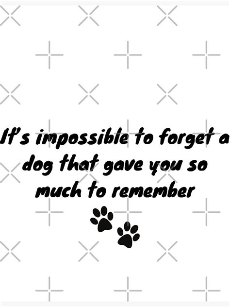 Its Impossible To Forget A Dog That Gave You So Much To Remember