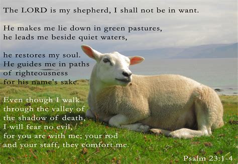 Psalm 23 king james version. 2016 Word of the Year - Prepare - Psalm 23 - in ...