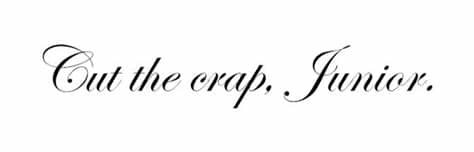 Well this font would have felt right at home reporting on this disaster in. Your Awful Fonts, Ranked >> The Brick Factory