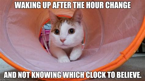 To The Time Change Gallery Funny Cat Memes Funny Cats Add Meme