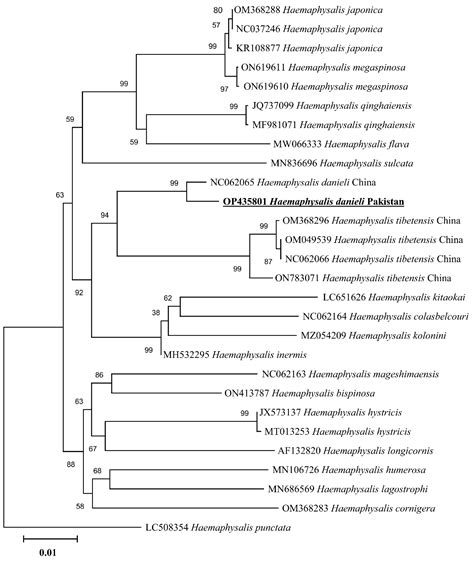 Pathogens Free Full Text Description Of Male Redescription Of