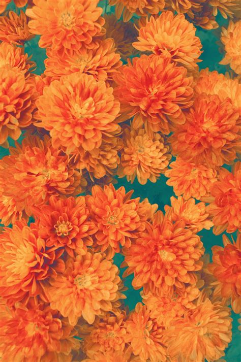 Vintage Patterns Photo Orange Wallpaper Orange Aesthetic Flower