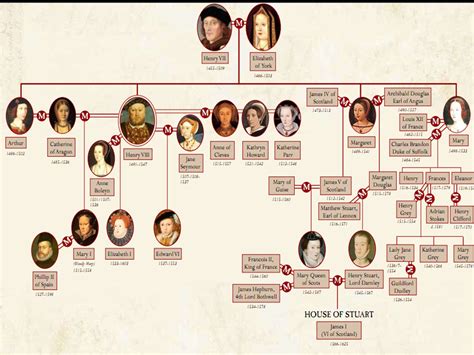 Queen elizabeth ii is the queen of 16 member states of the commonwealth of nations. Tudor tree | Ağaç