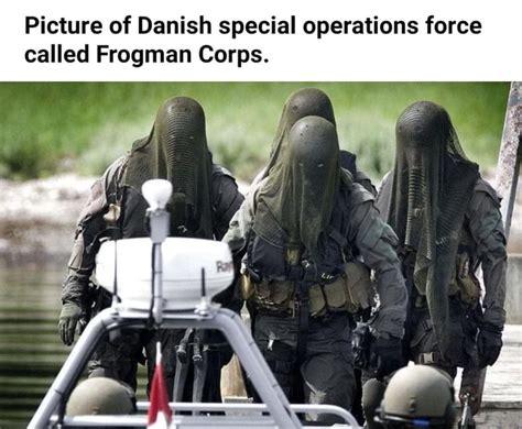 picture of danish special operations force called frogman corps