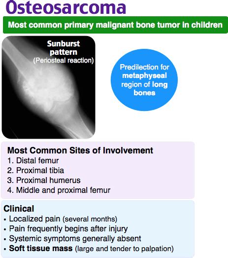 Osteosarcoma Most Common Primary Malignant Bone Tumor Grepmed