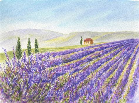 Lavender Field Original Lavender Painting Watercolor Lavender Print