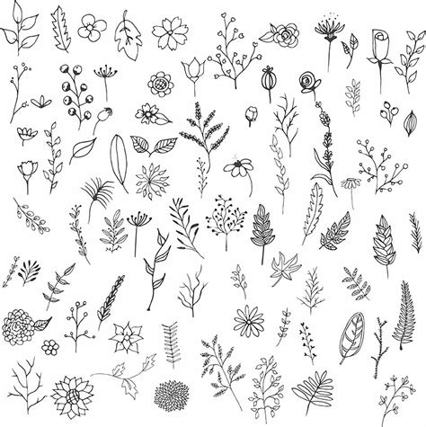 Hand Drawn Flowers Images Best Flower Site