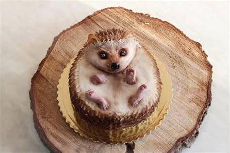 Hedgehog Cake By Teriely Terka Dendišová Sonic The Hedgehog Cake
