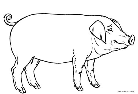 Ausmalbilder Schwein Malvorlagen Kostenlos Zum Ausdrucken
