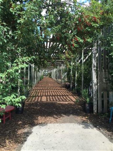 What can you do at the saskatoon farm? The Saskatoon Berry Farm (De Winton) - 2019 - Lohnt es ...