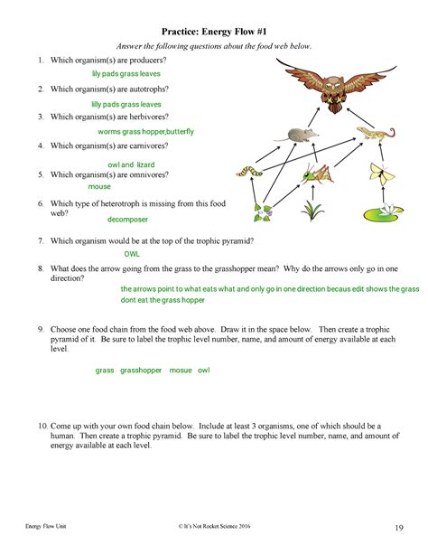 Foodwebs And Practice Energy Flow Bio Energy Flow Unit © Its Not
