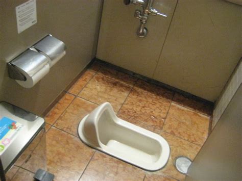 Choose a Convenient Toilet | HomeIdeasGallery - Get Free Ideas & Tips