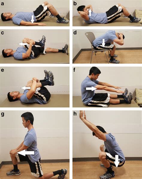 Ah Examples Of Williams Flexion Exercises Arrows Show The Direction
