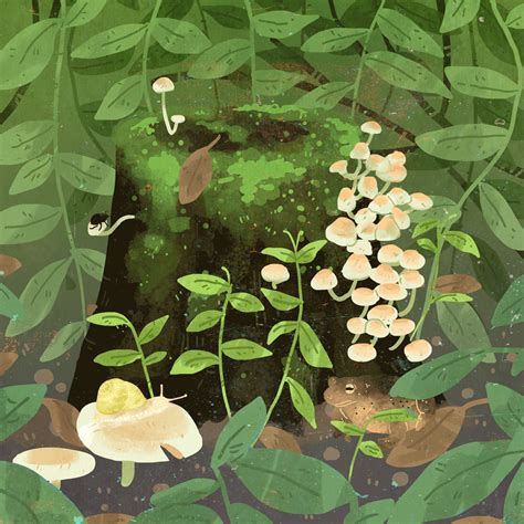 Autumn S On Behance Plant Illustration Nature Drawing Anime Scenery