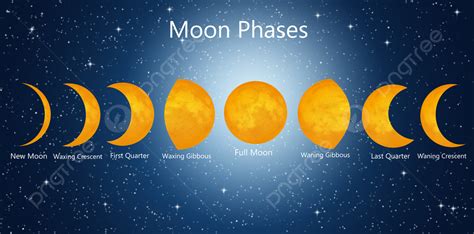 Moon Phases Phases Full Moon Month Photo Background And Picture For