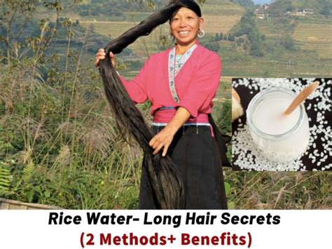 Thickness, medullation and growth rate of female scalp hair are subject to significant variation according to. How To Use Rice Water For Hair Growth (DIY + Benefits ...
