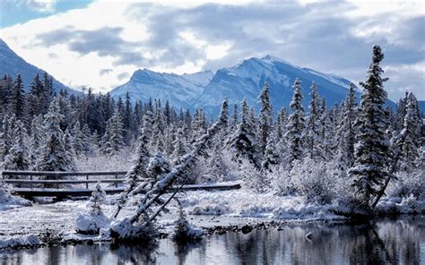 Download Wallpapers Canmore Alberta Rocky Mountains Winter Mountain