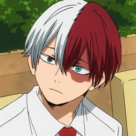 My Hero Academia Pfp Todoroki