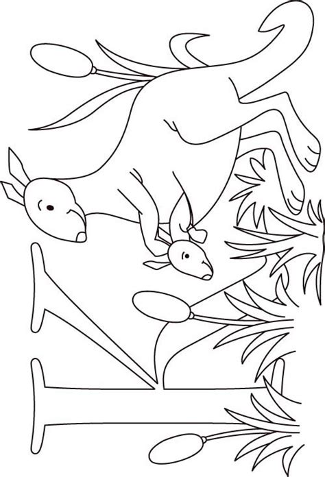 Kids love australian animals, and we've got lots of them to colour in here, including kangaroos, joeys, koalas, emus and kookaburras! Kangaroo Coloring Pages - GetColoringPages.com