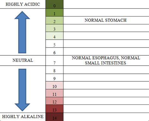 The Importance Of Stomach Acid