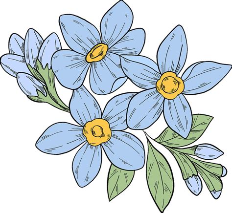 Forget Me Not Flowers Clipart Free Download Transparent Png Creazilla